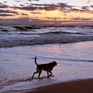 Meet your Posher, Leslie